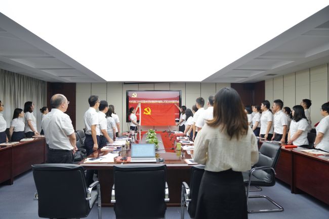 中非经贸港党总支召开党员大会选举产生第一届党总支委员会